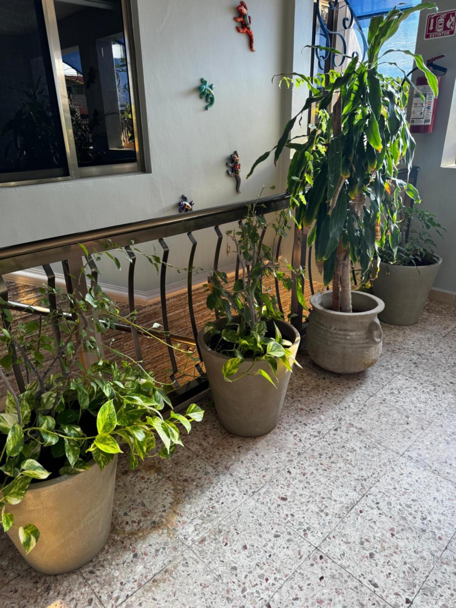 Apartamento Casa Lunamar